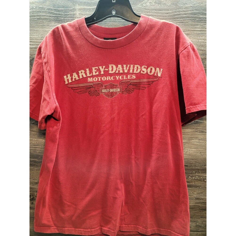 HARLEY DAVIDSON RATTLESNAKE MOUNTAIN TRI CITIES WASHINGTON - MEN'S SIZE LARGE